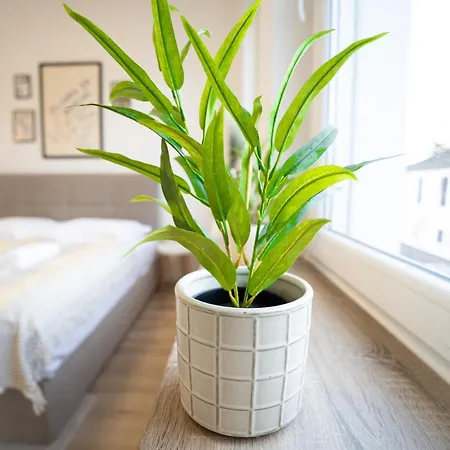 Charmante Am Drachenfels Apartmán Bad Honnef