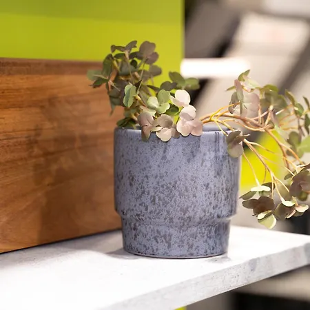 Charmante Am Drachenfels Апартаменты