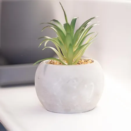 Apartament Charmante Am Drachenfels