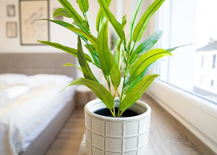 Charmante Am Drachenfels Апартаменты Бад-Хоннеф-на-Рейне