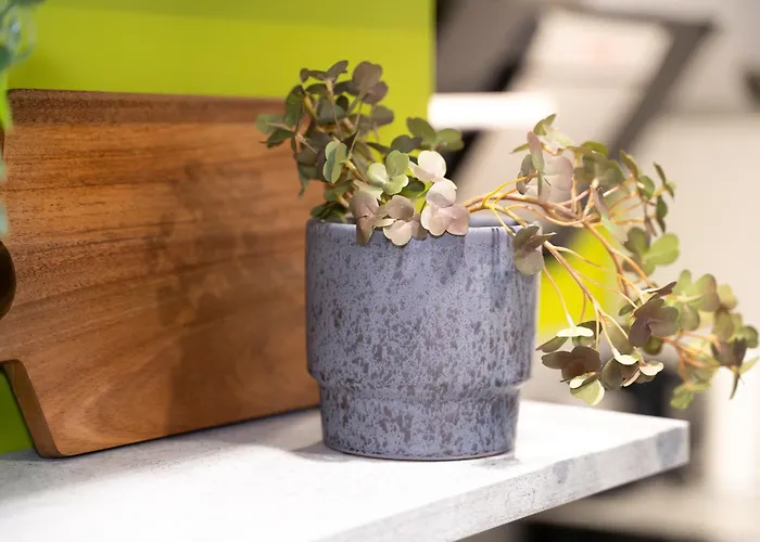 Charmante Am Drachenfels Апартаменты