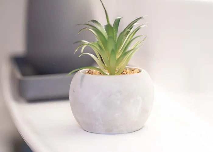 Апартаменты Charmante Am Drachenfels